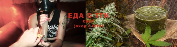индика Осташков