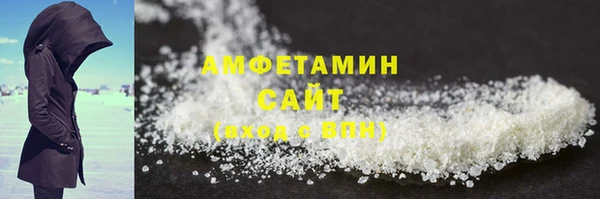 индика Осташков