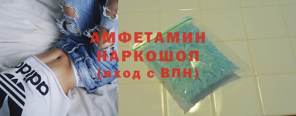индика Осташков
