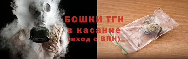 индика Осташков