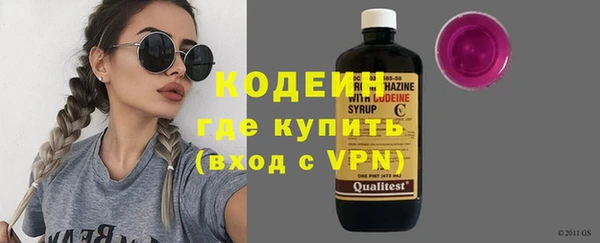 индика Осташков