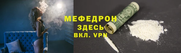 индика Осташков