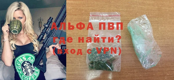 индика Осташков
