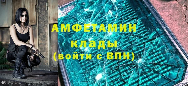 индика Осташков