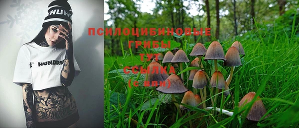 бошки Пестово