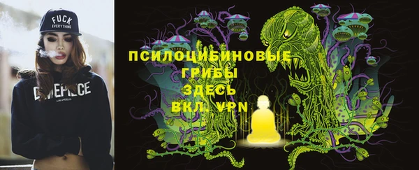 ешки Остров