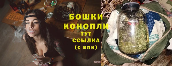 индика Осташков