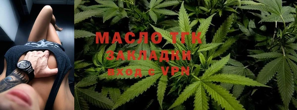 индика Осташков