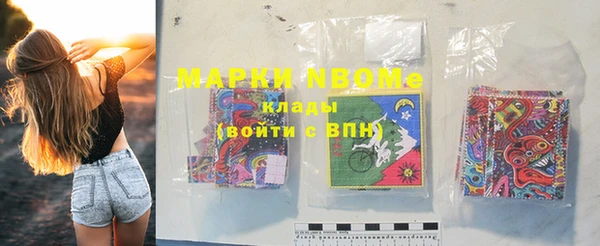 индика Осташков