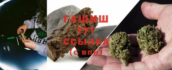 индика Осташков