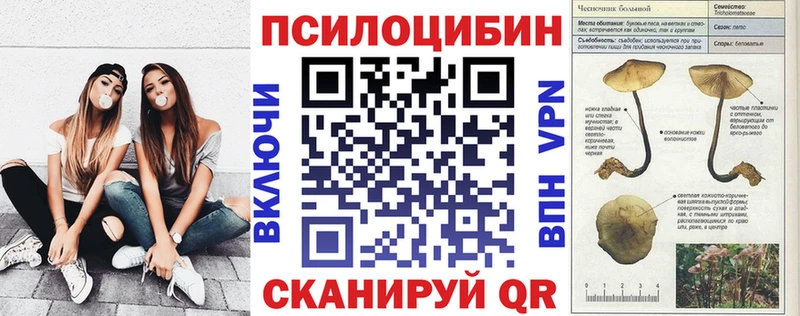 Купить  Краснотурьинск  Псилоцибиновые грибы мицелий 